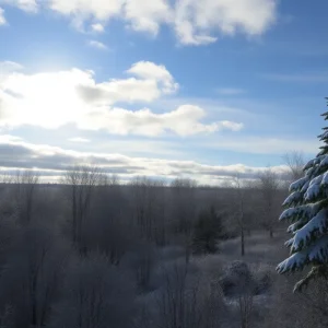 Chilly winter landscape of Southeast Michigan with snow-covered trees.